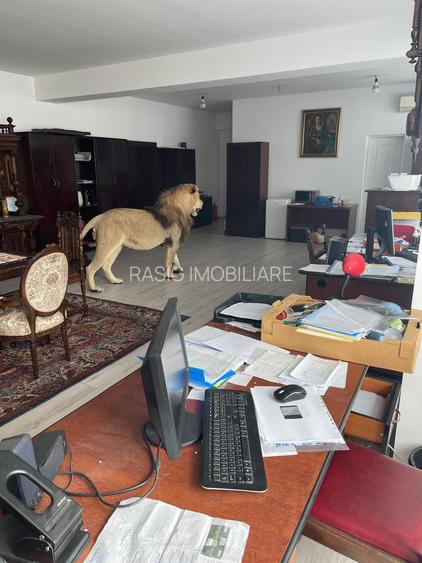 Afacere! Spațiu închiriat-  1500 eur/lună minim 10 ani - 3