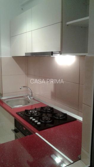 Apartament 1 camera, decomandat, mobilat, rond / piata Alexandru - 5