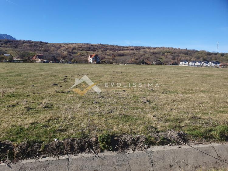 Teren intravilan 10.600 mp Strada Branului