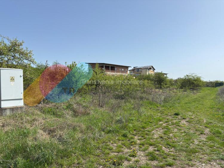 Teren intravilan 1000 mp, zona Giuseppe Verdi - 3