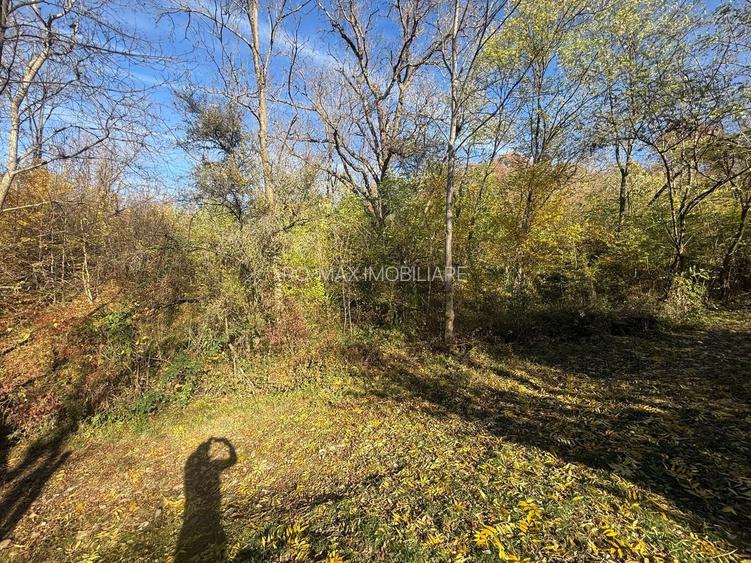 Teren langa pădure 6400mp+casa demolabila-deschidere 35 ml - 15