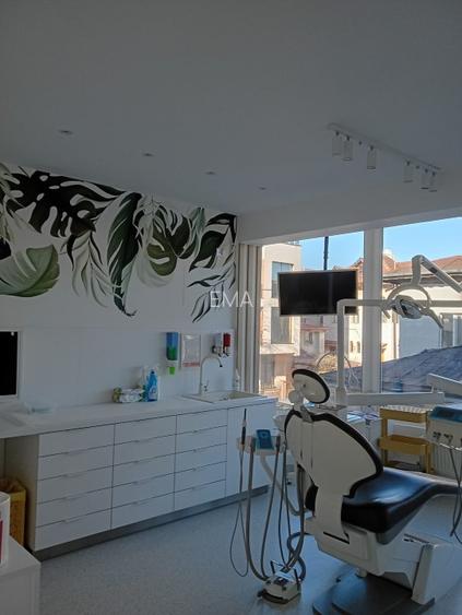 Proprietar vand doua vile in zona Calea Plevnei - 9