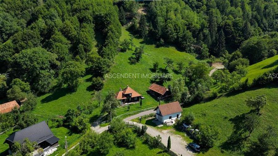 FILM! Proprietate autentica, Bran-Simon, 4.300 mp teren, casa traditionala + ane - 35