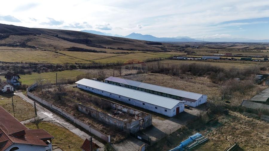 Teren pentru Hală Industrială | 1.729 mp | Utilități Existente | Teliu