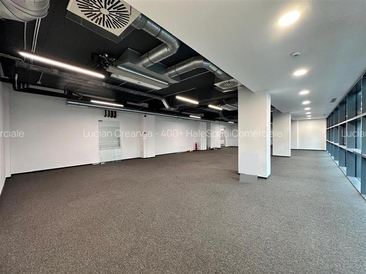 Spatiu birou semicentral Iasi, 200mp, zona Palas - Podul de Piatra - 13