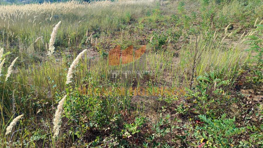 Teren cu autorizatie si proiect de construire, utilitati, Smeura - 8