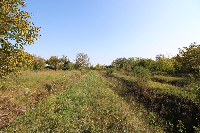 Teren 5963 mp deschidere lac Grivita 42 m cu deschidere la strazi 77 m - 14