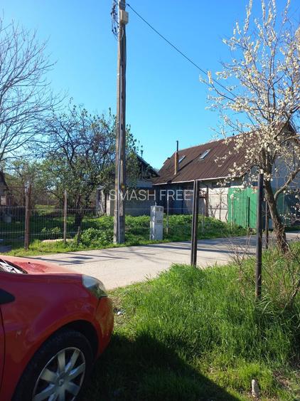 Teren intravilan 2927 mp - com. Domnesti sat Teghes - 8