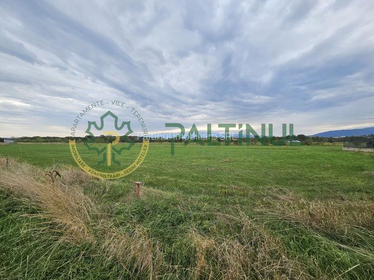 Teren intravilan in cartierul arhitectilor, Sibiu - 9