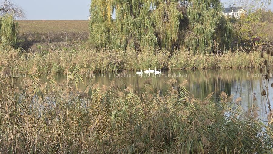 Teren  17850 mp-33 metri deschidere spre  lac – Balotesti(Corbeanca) - 4