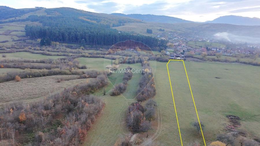 Teren 5.800 mp Purcareni curent, gaz, apă / Strada 30 decembrie - 6