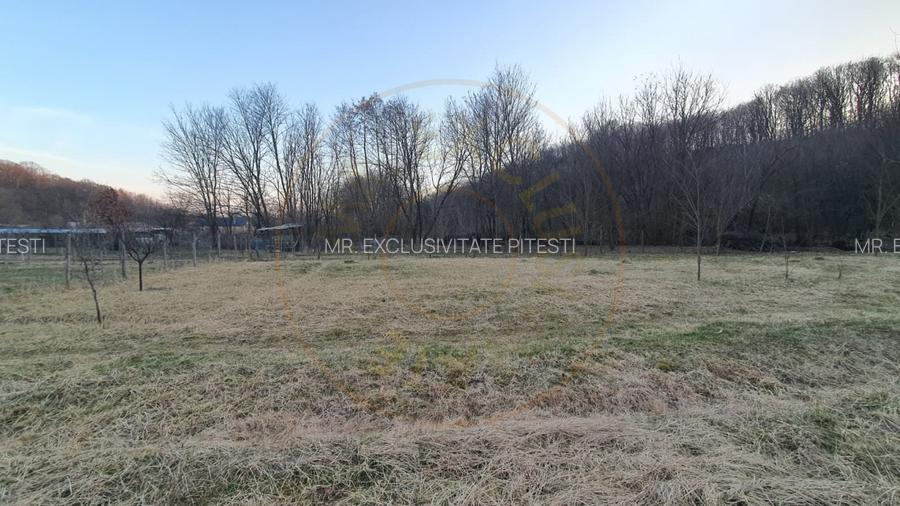Teren intravilan pentru Casa de Vacanta - Mosoaia -Basangesti - 6