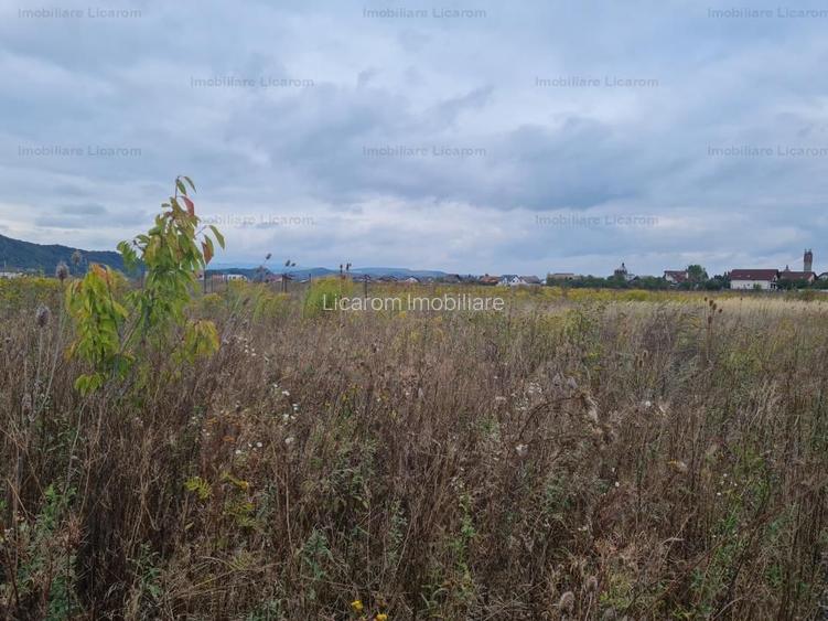 De vanzare teren  502 mp Harman Aleea 14 pret 40000 euro - 3