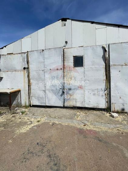 Spațiu industrial de depozitare la Indagrara - 7