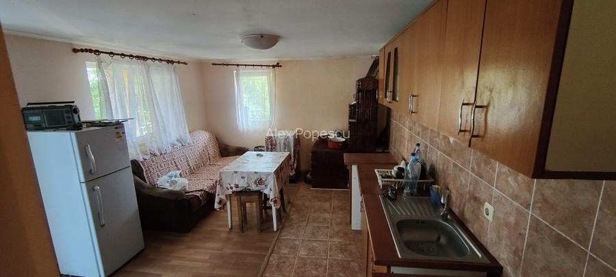 Casa+ casa batraneasca Surupate(Comuna Francesti, Valcea) - 9