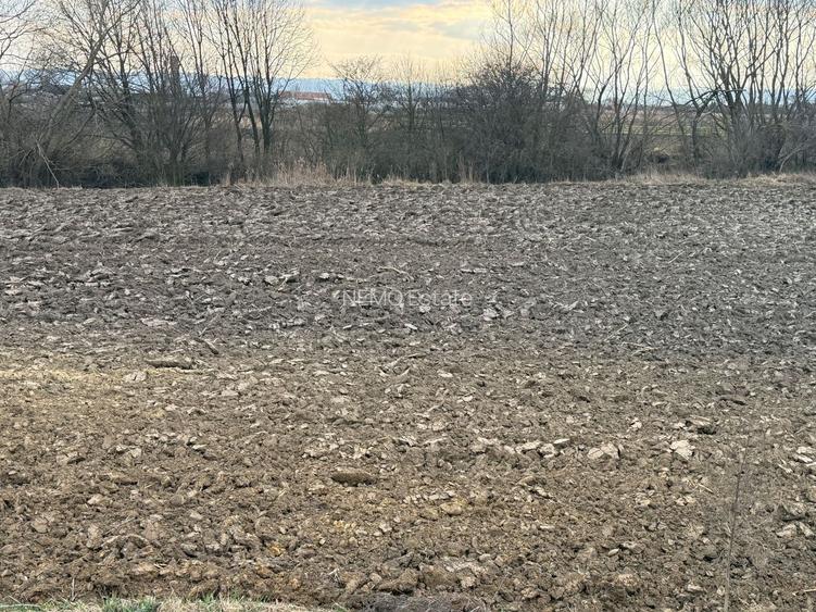 Teren extravilan | Rădăuți | 36 ARI - 15