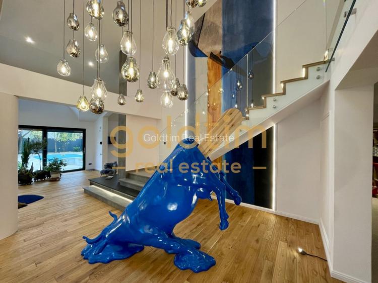 UNICA/ABSOLUT SUPERBA/ VILA INDIVIDUALA/IANCU NICOLAE/CURTE GENEROASA - 29