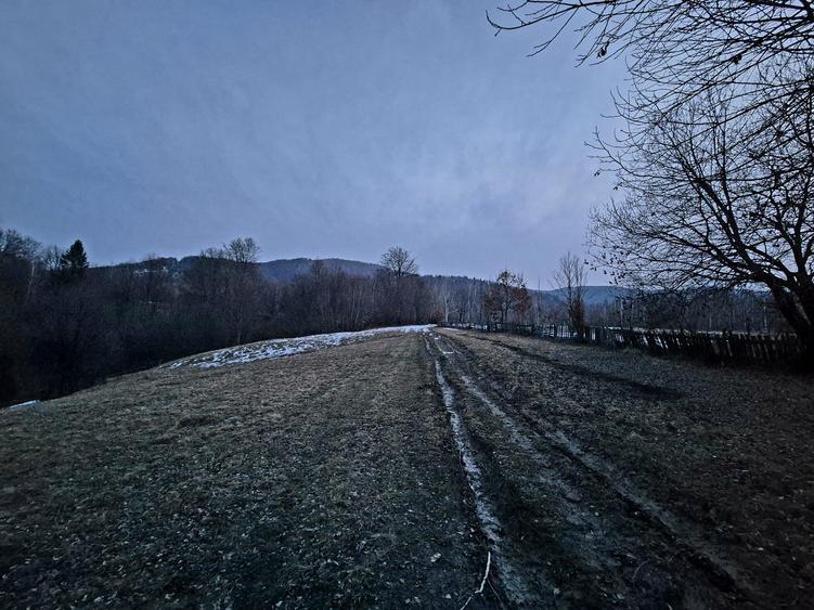 Teren extravilan 5000 mp Sinca Noua