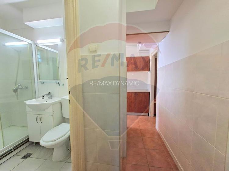 Apartament 2 camere decomandat, centrala gaz, de închiriat Podgoria - 14