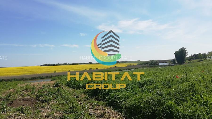 Teren 509 mp, vedere la lac, utilitati la lot - Frumusani - 6