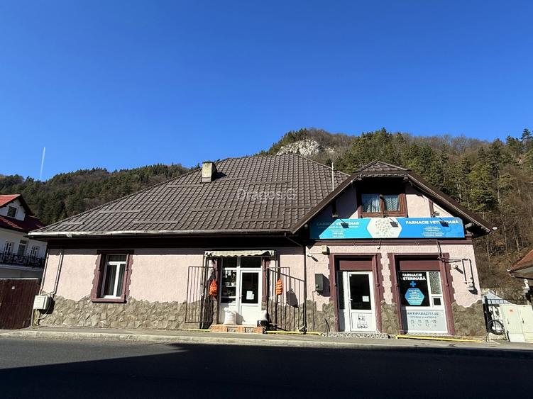 CASA in  BRAN, ZONA CENTRALA, DN 73, 400 m distanta fata de Castel.  - 14