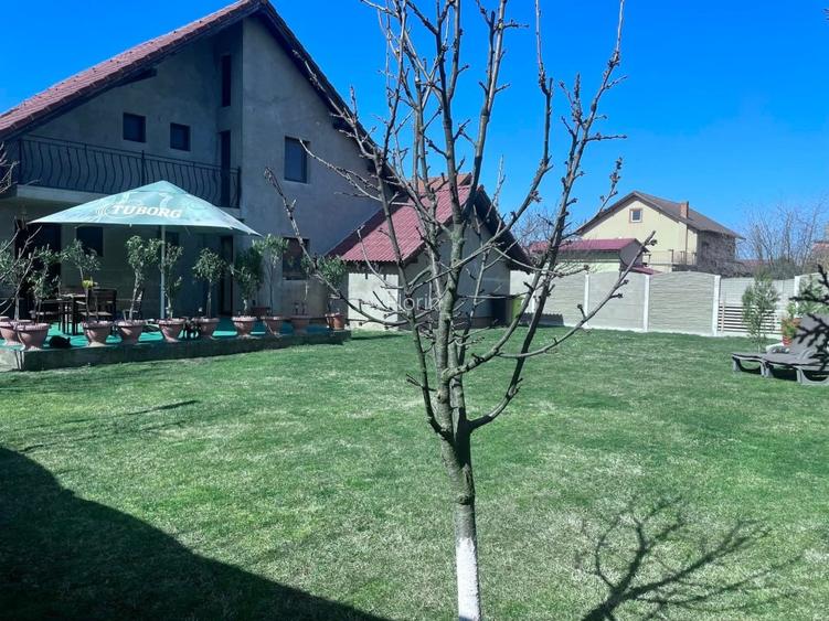 Casa de vanzare in Sag zona linistita, aproape de Timisoara - 3