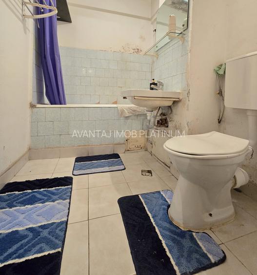 Lacul Tei - Maica Domnului, apropiere Facultatea de Constructii - 7