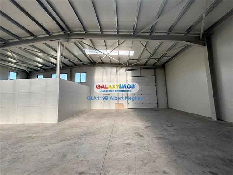 Inchiriere hala depozitare Parc Industrial TBM Rudeni - 3