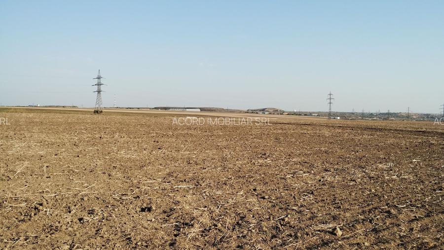 Teren pentru Parc Logistic, hale - Ovidiu - 4