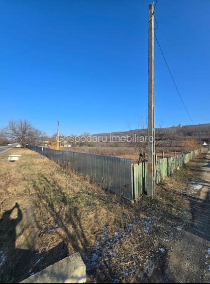 Teren intravilan - sat Pradais com Huruiesti  jud Bacau - 2
