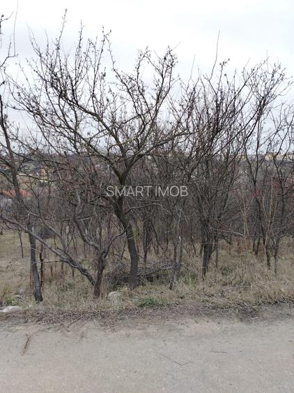 Teren Intravilan ptr case 28.15 ari cu utilitati zona strazii Dobrogeanu Gherea - 9