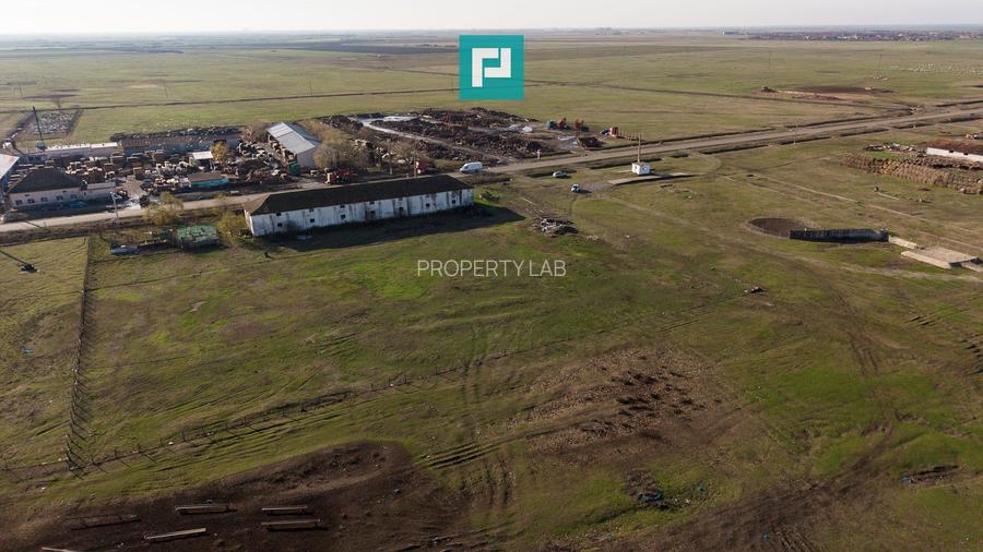 Hală industrială cu teren generos în Zărand, Arad - 35