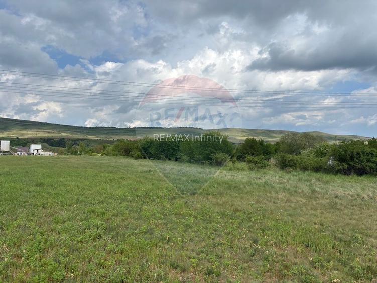 Teren de vanzare 13783mp, front la DN, parcela unica zona de vest - 4
