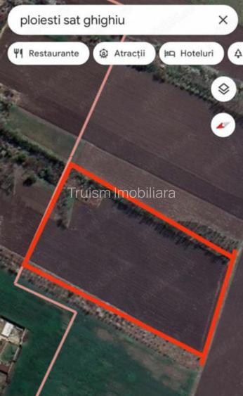 Teren intravilan 2999 mp, Com. Barcanesti, Sat. Ghighiu - 3