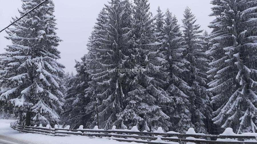 Vila complet utilata de vanzare – Paltinis, Sibiu - 12