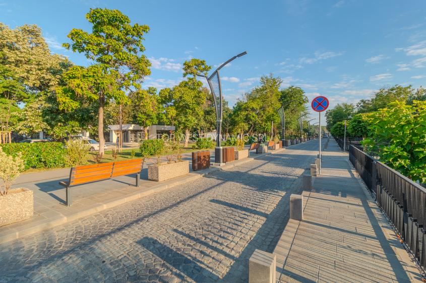 Spațiu versatil pentru business în Băile Felix - 7