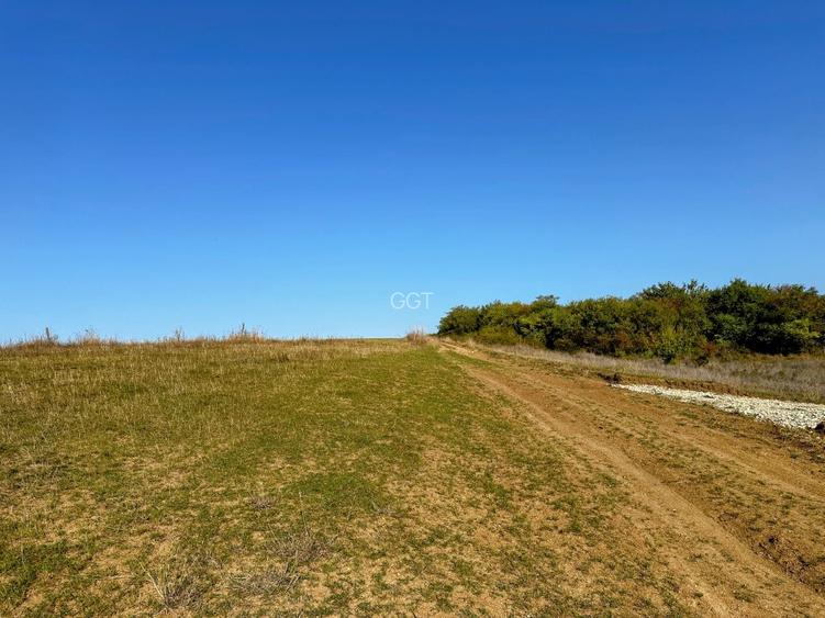 Teren de vânzare în Sibiu – Rusciori, 651 mp, oportunitate de investiție - 9