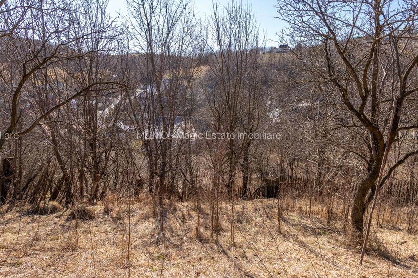 Ai plecat din Solont, dar terenul ăsta de 1737mp te cheamă înapoi - 8