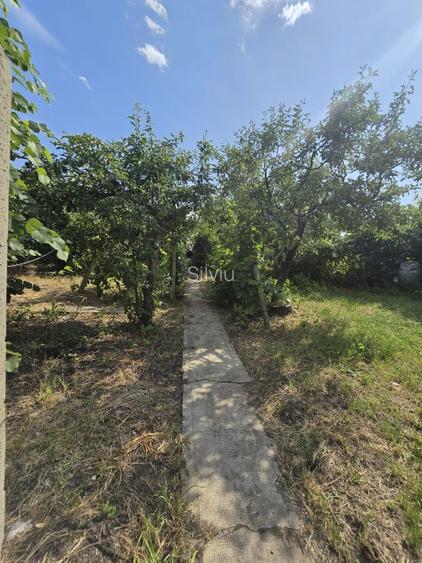 Casa batraneasca ,gradina cu vie si livada, fara agentie  - 3