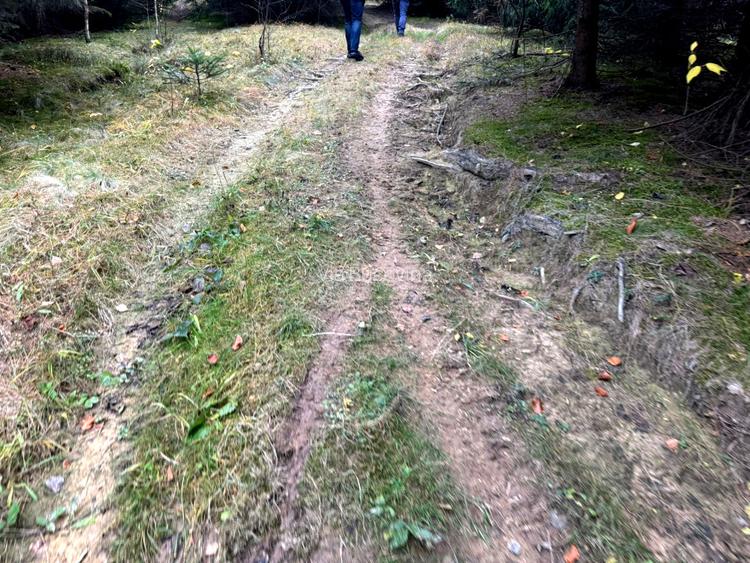 Vanzare 5,3 ha pasune deasupra Voronetului Suceava - Proiect Turistic - 20