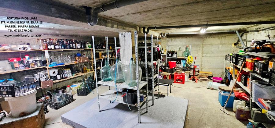 Proprietate com.Girov,compusa din casa, anexe si 8800 mp teren - 16