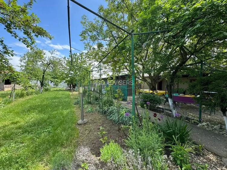 Casa cu 4000 mp teren, Letca Noua, Giurgiu — 40 min de București - 7