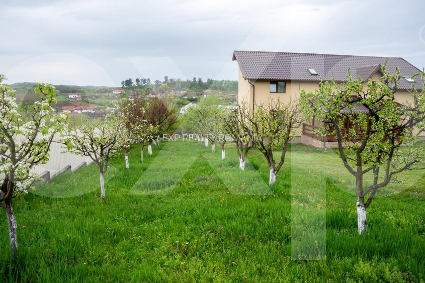 Proprietate unică, în zonă verde și liniștita - 8