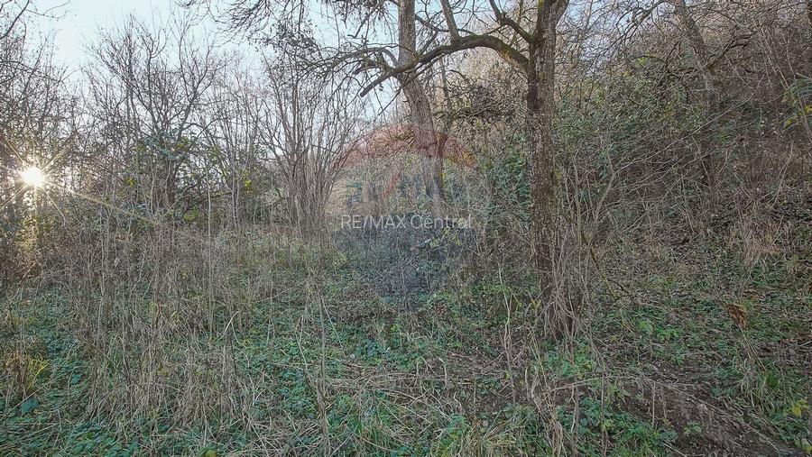 Comision 0! Casă cu teren de 1000mp in inima Brasovului - 11