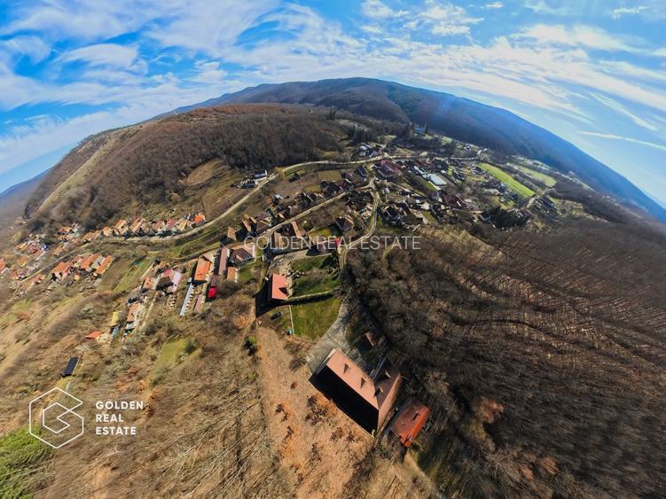 Proprietate pretabila pentru afacere, Cladova - 39