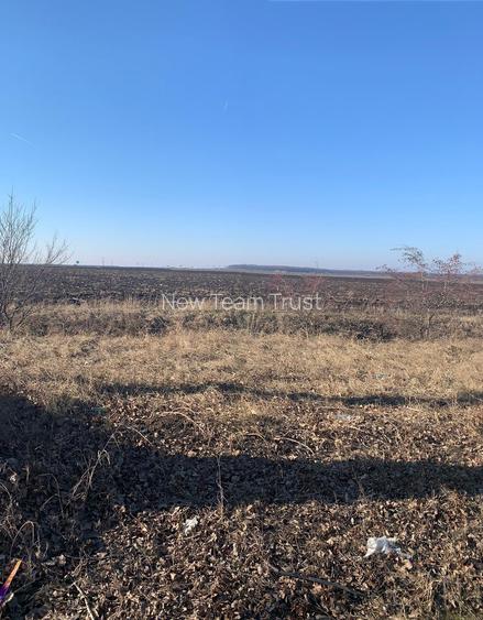 Stefanesti de Jos Vanzare  Teren  Intravilan  5,5 Hectare deschidere 121ml DJ200 - 3