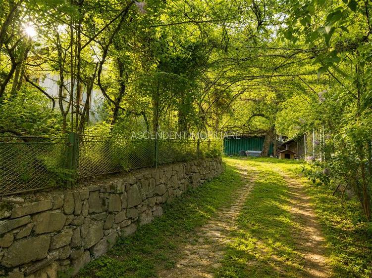 Casa traditionala cu autenticitate rurala, in pitoreasca Telega, Prahova - 2