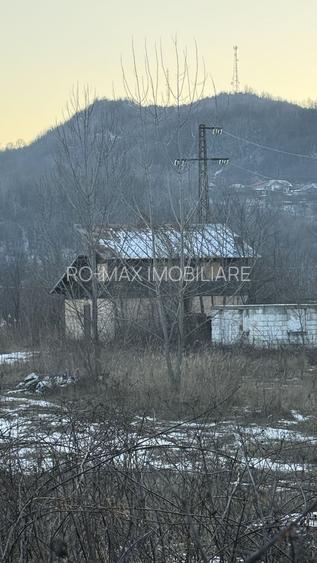 Teren intravilan construcții 10834 mp + construcție- cabană lemn! - 2
