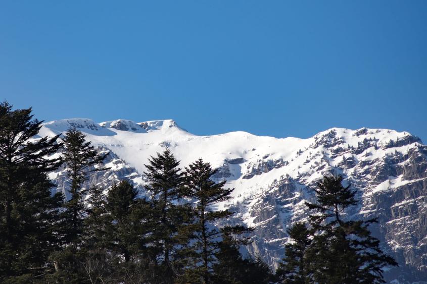 Sinaia – Peles, 1346 mp de teren, de vanzare! - 2