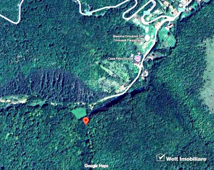 OCAZIE | 5755 mp PĂDURE matura in Stolna | Utilități 200m | Front 17m la drum | - 2